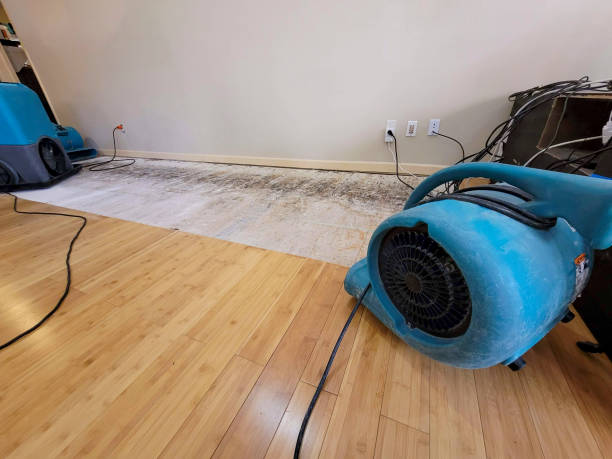Professional Structural Drying technician working in Corona Del Mar, CA